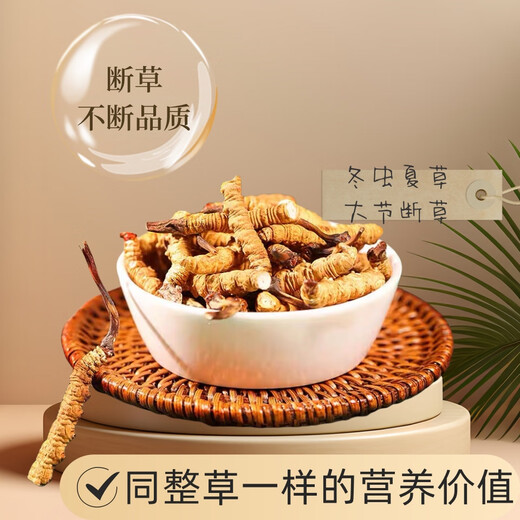 Cordyceps Cordyceps Genuine Cordyceps Cordyceps Cordyceps Cordyceps Cordyceps Cordyceps Cordyceps Cordyceps Cordyceps Cordyceps Cordyceps Cordyceps Cordyceps Cordyceps Cordyceps Cordyceps Cordyceps Cordyceps Cordyceps Cordyceps Cordyceps Cordyceps Cordyceps Cordyceps Cordyceps Cordyceps Cordyceps Cordyceps Cordyceps Cordyceps Cordyceps Cordyceps Cordyceps Cordyceps Cordyceps Cordyceps Cordyceps Cordyceps Cordyceps