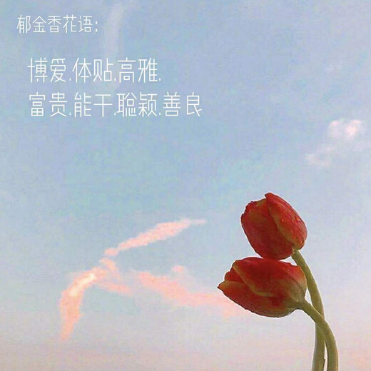 Flower love tulip flowers bouquet delivered in the same city. Birthday gift for wife, best friend, boyfriend and girlfriend. 10 pink tulips bouquet delivered in the same city. Supports appointment date.