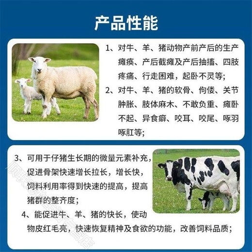 OEMG fast-selling calcium, phosphorus, zinc and magnesium veterinary bone meal for chickens, ducks, goose, pigs, cattle and sheep, special bone strengthening supplement 1000g/pack