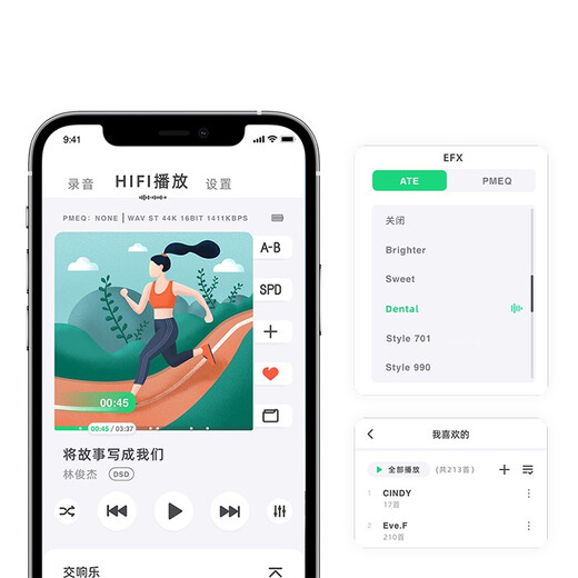 Lotoo PAW 1-64G professional recorder interview conference lawyer learning special recorder DSD portable HiFi player MP3 PAW 1 (64G) standard without external microphone