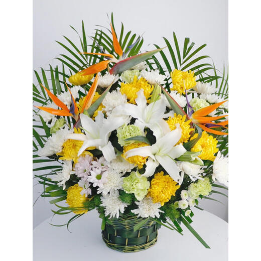 Congshu Xiaobaihua Tomb Sweeping Tomb Sweeping Festival Tomb Sweeping Tomb Sacrifice Commemoration Chrysanthemum White Chrysanthemum Flower Bouquet Tombstone Franchise Sacrifice B Flower Basket