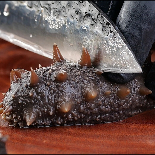 张奶奶即食海参正宗大连原产新鲜解冻即食非淡干家庭礼盒装年货 2000g /4斤家庭实惠装【48-58头】