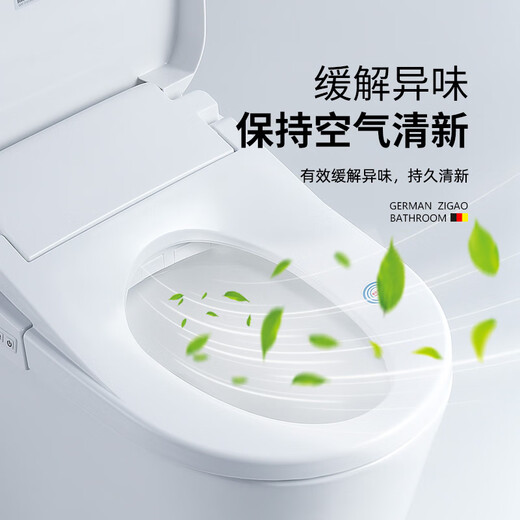 自高（ZIGAO）德国自高智能盖板抗菌助便自动清洗洁身器静音烘干除臭智能坐便盖 【U-659G】防水遥控+抗菌座圈 无忧购