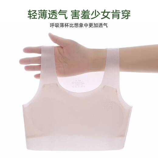 Yu Zhaolin (YUZHAOLIN) 2-pack girls' underwear development period 9-12 years old summer thin vest big children primary school girls bra