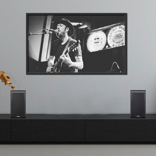 Yamaha (Yamaha) NS-C51 B51 Lautsprecher Home Theatre Passive Audio, mittelgrohrer Heimkino-Holz importierten Audio, NS-B51-Paar Walnussfarben (müssen mit Verstärker verwendet werden)