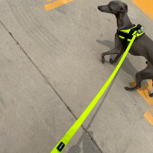 BeauGo dog leash waterproof leash dog leash large dog small dog comfortable grip pet leash fluorescent green 1.2M19mm width-large dog