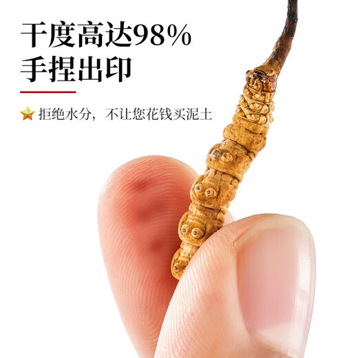 色季拉冬虫夏草断草 大断节虫草 10克装1瓶自吃实惠推荐