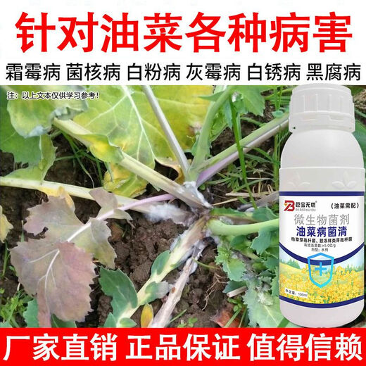 油菜专用药油菜菌核病霜霉病猝倒根腐病油菜病菌清油菜病专用药 【100ml】1瓶