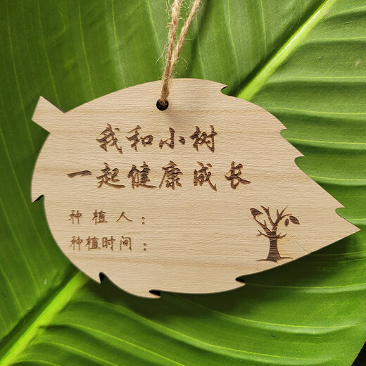 Qiyuemang high-quality Arbor Day listing tree tag tree adoption tag recognition tag plant tag small sapling brand tree name style one (bassin board). 10 pcs.