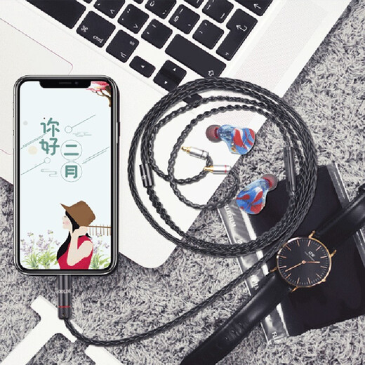 雅高聆（ACROLINK） mmcx榭蓝图舒尔带麦耳机升级线森海平衡线 mmcx/榭兰图/舒尔846/535 Type-C数字插头