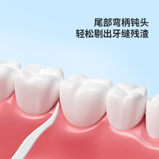 Hai's Hainuo Floss Stick 50-polige*4-Box tragbare Box transportiert eine tiefe Reinigung