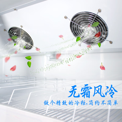 
Baicheng LG4-688/1650-liter beverage cabinet Refrigerated display cabinet Air-cooled frost-free supermarket freezer Commercial beer water cabinet 1650-liter-[Three doors] Air-cooled frost-beverage cabinet