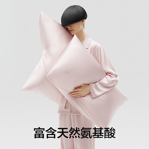 蕉内丝丝701Home纯色真丝枕套可机洗枕套5A桑蚕丝 静谧蓝