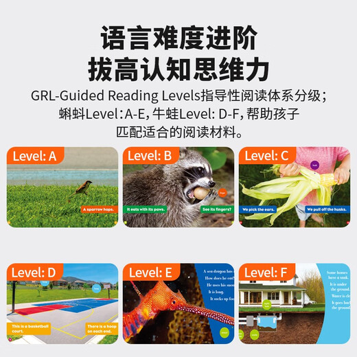 点读版 美国Jump百科分级读物-Pogo Book袋鼠系列(20册）新一代科学标准 提升英语学习力 英文原版进口 7-11 岁 蓝思值 400L - 800L  小学教辅