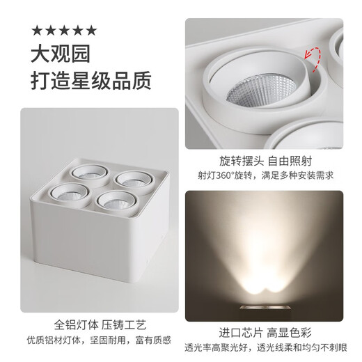 大观园（DGY）明装筒灯智能家居无主灯防眩极简护眼灯高显指格栅灯中山灯具429O 9853双头白色普瑞20W-暖光