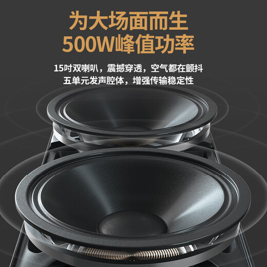 Xinke H15 dual 15-inch square dance outdoor Bluetooth speaker lever outdoor ktv bass player performance professional electric acoustic guitar bass folk singing instrument speaker dual microphone