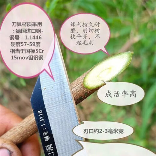 进口德国进口钢14116高硬度嫁接刀专用可折叠芽接刀 双刃左右手通用 德国进口钢1.4116韧性好