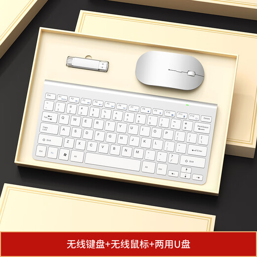家之禮 公司年会伴手礼商务礼品定制logo实用高档高端纪念品送客户员工周年庆活动奖品礼盒 银色无线键盘/鼠标/优盘/3件套