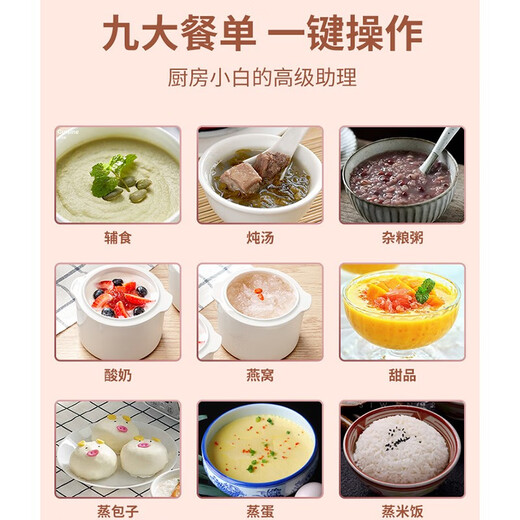 Tianji (TONZE) electric stew pot, electric stew pot, water-proof stew pot, electric steamer, stew pot, instant stew pot, healthy bird's nest stew pot, sky blue 1.6L丨steamer style丨three bladders