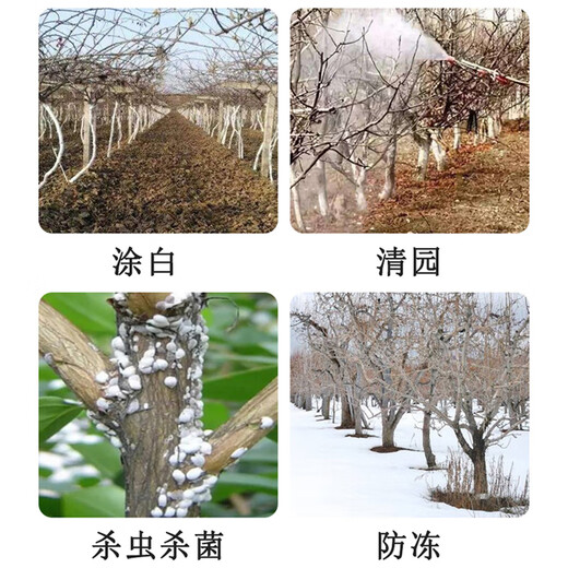 King of the Forest 29% Lime Sulfur Mixture Orchard Clearing Water Agent Fruit Tree Scale Insect Powdery Mildew Red Spider Pesticide Bacterial Insecticide