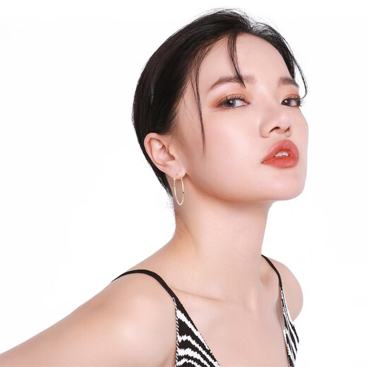 Qlady Rose Same Style Earrings Feminine High-end Large Earrings 2025 New Light Luxury Silver Needle Earrings Birthday Gift