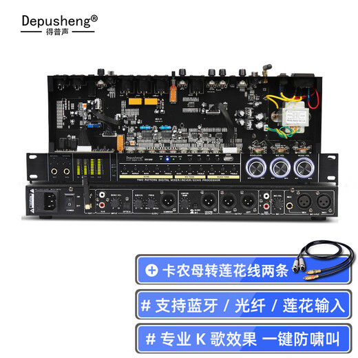 Depusheng REV3900 KTV pre-amp effector with rechargeable wireless microphone for home karaoke singing TV reverberator box commercial anti-howling audio processing USB fiber optic Bluetooth REV3900 without handheld