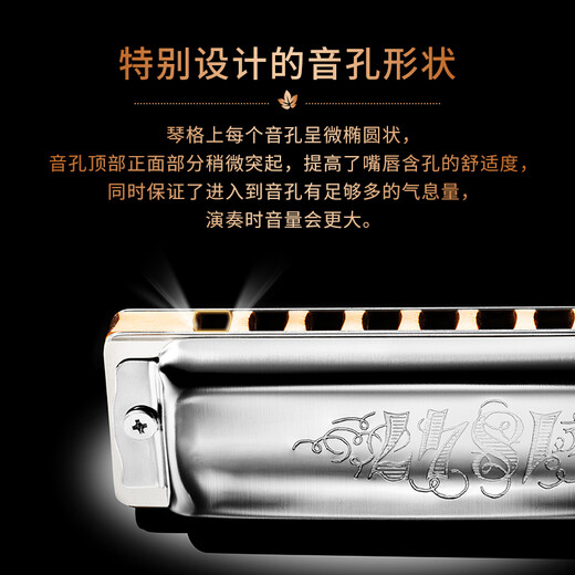 SEYDEL德国进口SEYDEL赛德 十孔10蓝调成人口琴 1847 CLASSIC 10孔D调