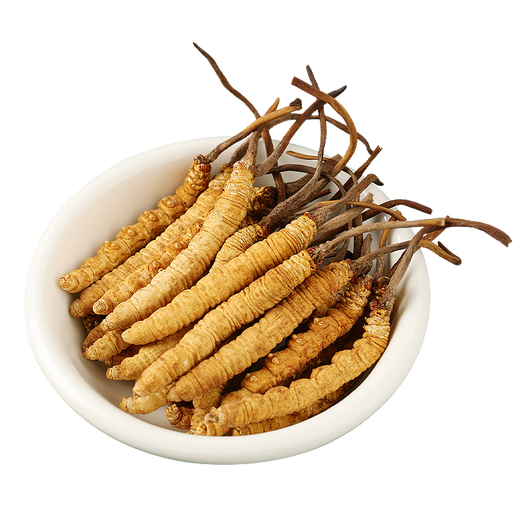 Tongrentang brand Cordyceps sinensis about 4 roots/g100g about 400 roots tonic gift box postoperative tonic products to send to elders