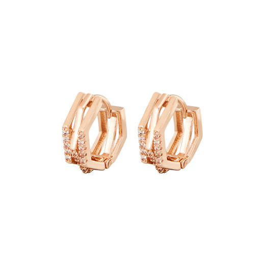 DL 1998 Fat Donglai same style 18k rose gold earrings for women 2025 new trendy Korean temperament internet celebrity rose gold