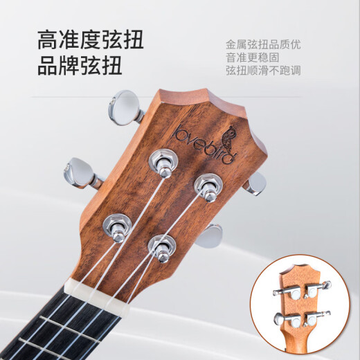 ACACIA Bird Ukulele Ukulele Ukulele Small Guitar Great Examing Play Acacia Wood 23 pulgadas