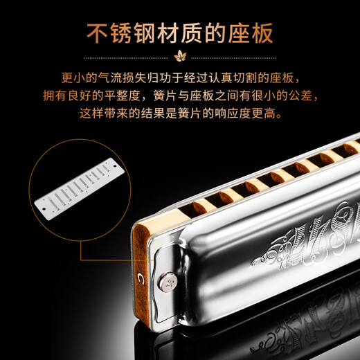SEYDEL德国进口SEYDEL赛德 十孔10蓝调成人口琴 1847 CLASSIC 10孔D调