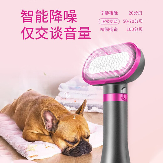 Pet Hair Dryer All-in-One for Small Dogs and Cats Teddy Bichon Dog Hair Blow-drying Artifact for Drying and Combing Black and White - Hair-pulling Fine Combing Needle (Bead Type)