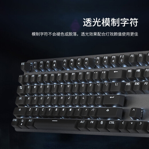 罗技（Logitech）K845机械键盘 有线键盘 游戏办公键盘电竞 青茶红轴键盘电脑笔记本背光DIY键帽 全尺寸104键 全尺寸 TTC青轴 104键 白光