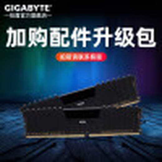 GIGABYTE host accessories upgrade package replenishes RMB 10/50/100. Please contact customer service before taking a shot. Single shot will not be shipped. Black Myth Wukong Memory 16G (8*2)