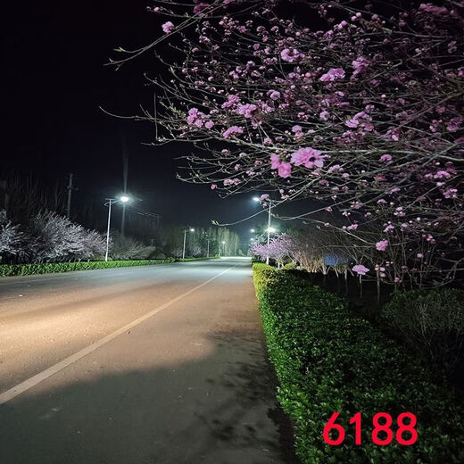 
Yunmao Internet celebrity anchor live broadcast background cloth Douyin Kuaishou video joke 3d three-dimensional background wall night scenery outdoor scene 6187 1.5 meters wide 2 meters high