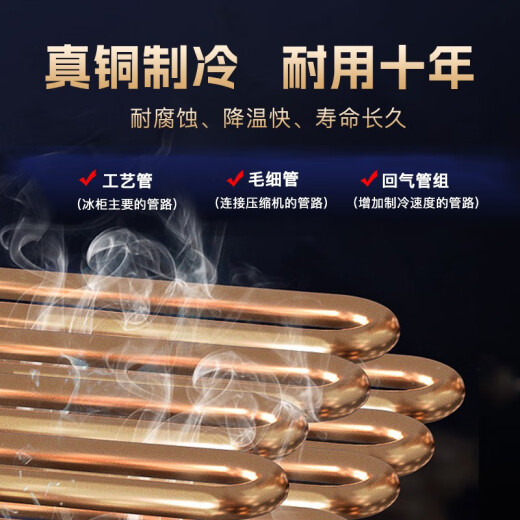 小鸭牌（XIAOYAPAI）【45年老品牌】卧式冰柜商用大容量冷藏冷冻柜家用展示柜雪糕柜全冷冻家用双温速冻【加厚铜管】 728双温数显款丨7D加厚铜管