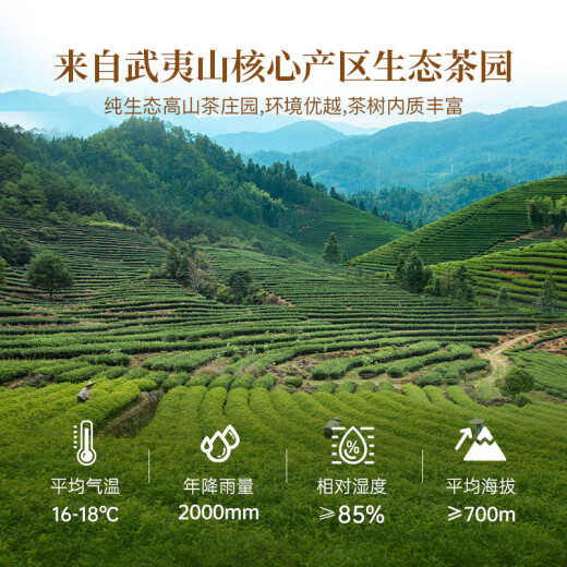 Huaxiangyuan Oolong Tea Wuyi Mountain Rock Tea Cinnamon Grade 1 116g Zhongzu Fire Iron Boxed Quality Ration Tea