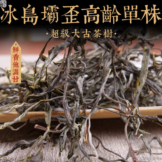 Mingguan Zhongpin 23-year-old spring tea, Iceland Bawai senior single ancient tree loose tea, Yunnan ancient tree tea, Pu'er tea loose tea 500g