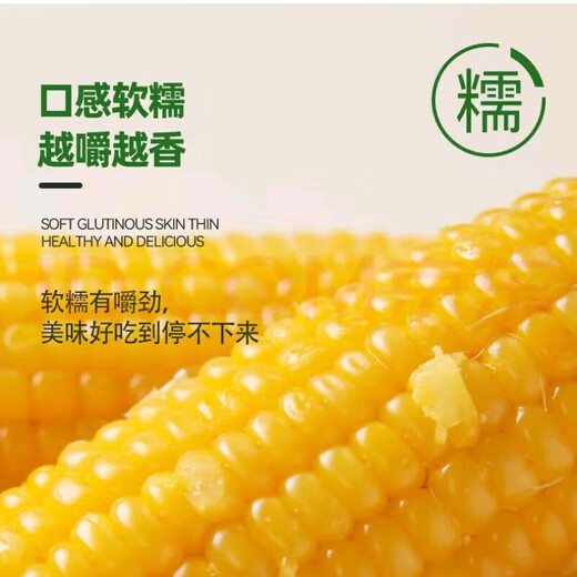 Fresh yellow waxy corn vacuum-packed instant corn low-fat whole grain meal replacement multigrain breakfast affordable 10 sticks 180g-220g/stick