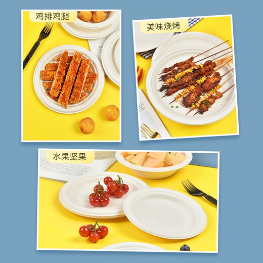 Temeiju disposable paper plate cake plate outdoor picnic camping meal plate sugarcane pulp plate waterproof, oil-proof, environmentally friendly and biodegradable round pulp plate 10 inches 26cm*30 pieces