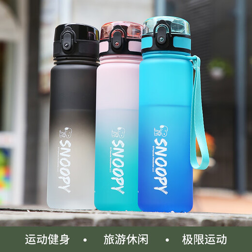 Snoopy (SNOOPY) children's water cup summer portable large-capacity drop-proof and leak-proof drinking cup for male and female primary school students one-click direct drinking cup blue