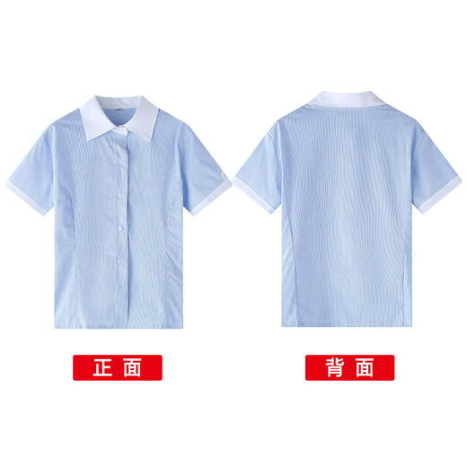Xin Yueqing children's summer short-sleeved shirt for boys and girls, primary and secondary school uniform shirt, white collar, blue pinstripe half-sleeved top, thin striped boys' short-sleeved shirt 160 cm