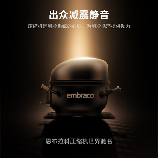 Roussillon/Russillon cigar cabinet, constant temperature and humidity cigar cabinet, cigar cabinet customization, cigar room customization, 1930H rose gold classic version 450L constant temperature and humidity