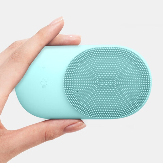Heizungseinführung, Gesichtsreinigungsinstrument, elektrisches Silikon-Gesichtsreinigungsinstrument, Ultraschall, siebenstufige wasserdichte Bürste, Gesichtsporenreiniger, grün