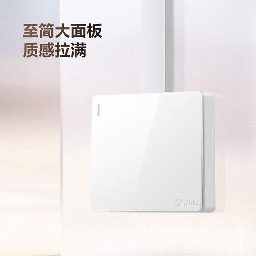 BULL oberflächenmontierte große Panel-Schaltsteckdose G59-Serie, Ein-Ein-Einzelsteuerschalter G59K111