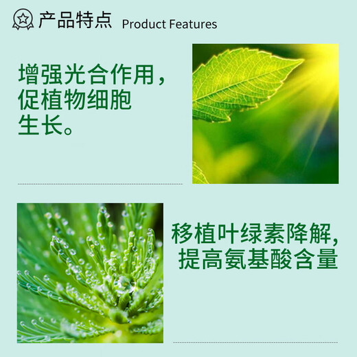 Guoguang Huasi plant source 2% benzylaminopurine cytokinin fruit tree flower exploding pesticide regulator 25ml