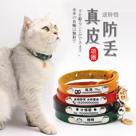 Leijia genuine leather engraved collar cat collar cat collar anti-lost cat collar cat bell cat brand collar cat collar orange L (neck circumference 24-30cm 8-13Jin Jin equals 0.5 kg)
