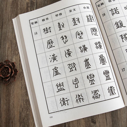 怎样写篆书甲骨文金文技法集唐诗章法入门毛笔书法练字帖临摹字典 精装篆书字典795页