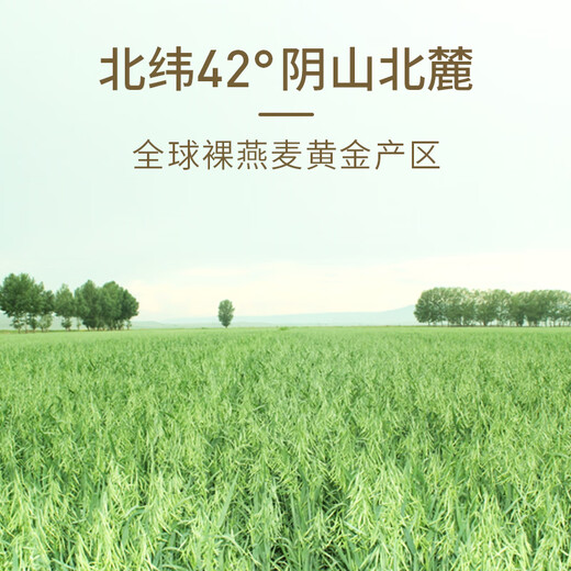 阴山优麦 纯燕麦片内蒙古裸燕麦健身营养代餐即食早餐健康粗粮无添加蔗糖 【箱装60天入会送礼】1050g*2