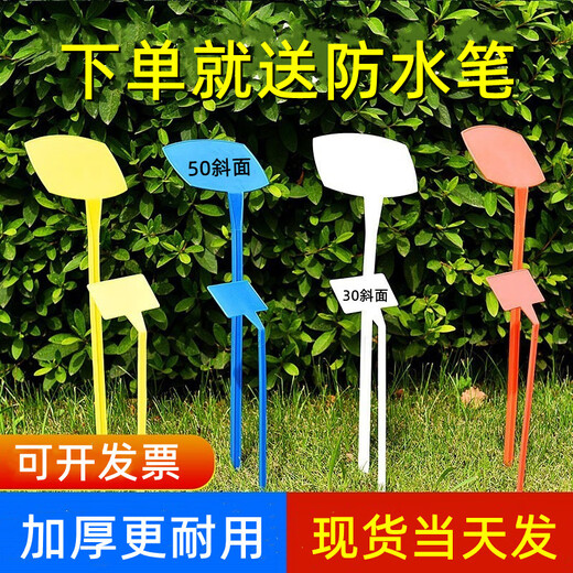 Shipton bevel large ground brand gardening label gardening sign plant sign card ground sign mark card 50 cm slope yellow 30 sheets pencil can